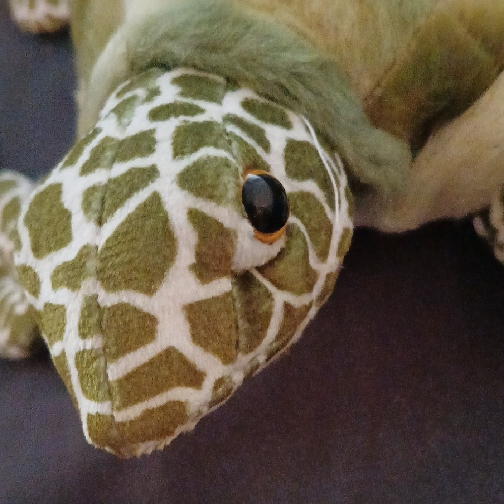 Plush Turtle Toy for Small Pets - Picture 3 of 7